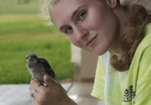 A couple of fledglings