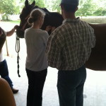 Giving the horse another shot.