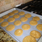 Ginger snaps. 