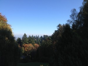 IMG_7477