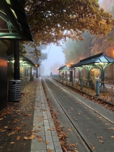 Morning_Wait_Light_Rail